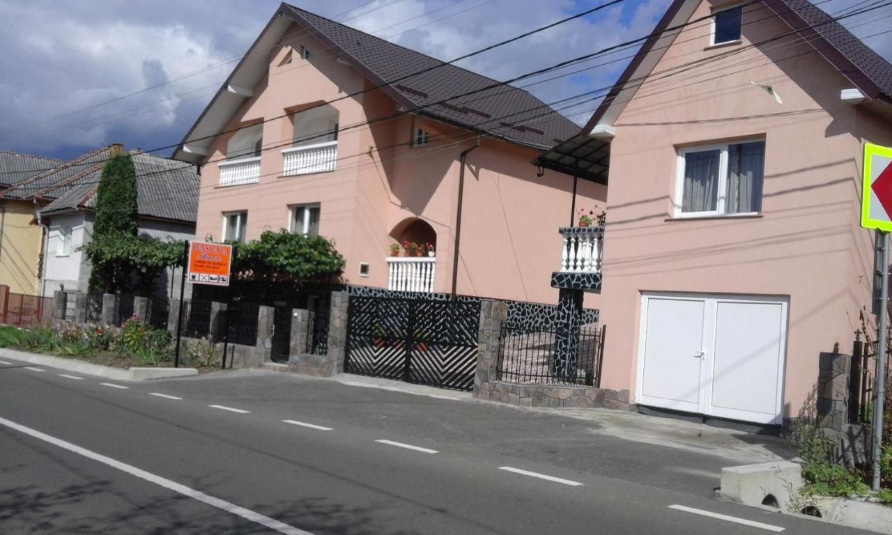 Sighetu Marmaţiei Casa Anca酒店 外观 照片