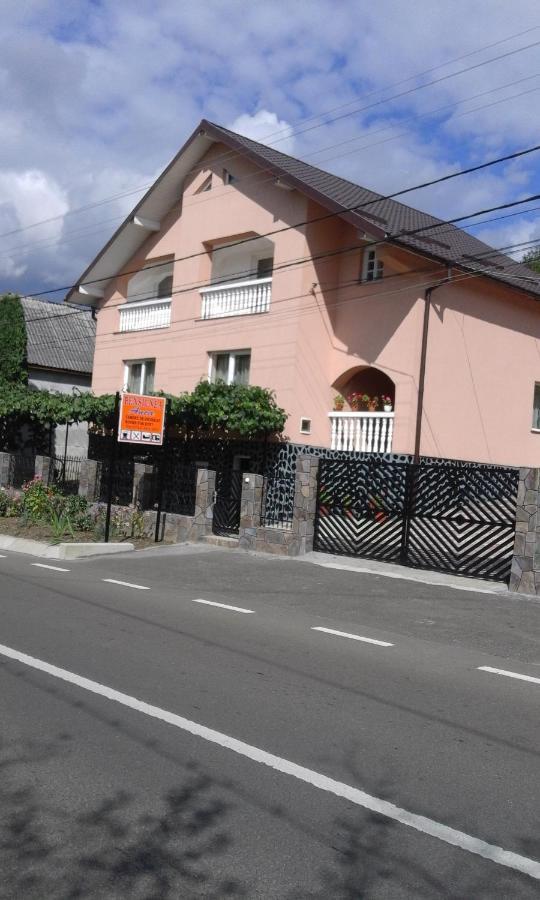 Sighetu Marmaţiei Casa Anca酒店 外观 照片