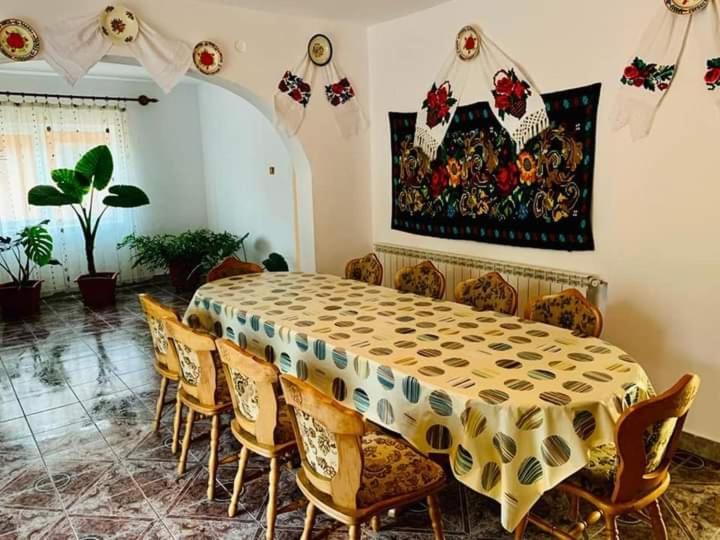 Sighetu Marmaţiei Casa Anca酒店 外观 照片