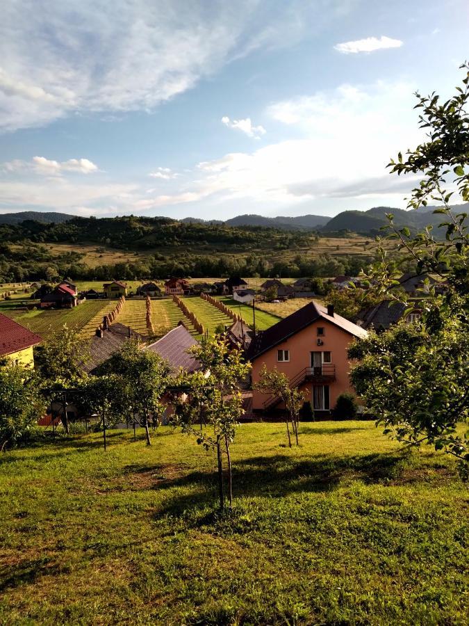 Sighetu Marmaţiei Casa Anca酒店 外观 照片